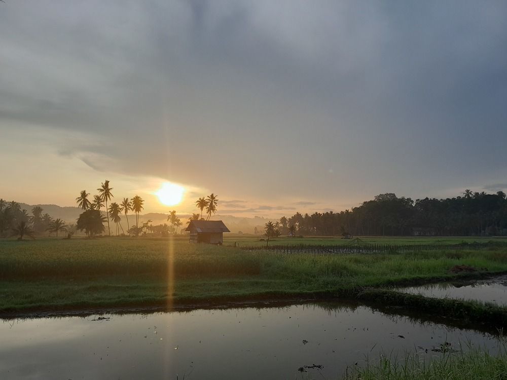 Sunrise at Low Morning