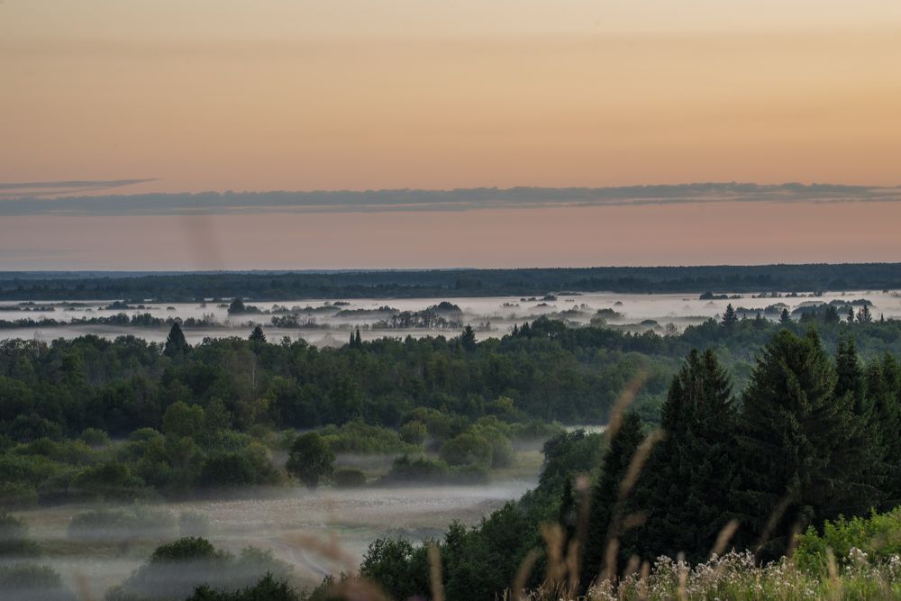 Photograph by Николай Лысцев