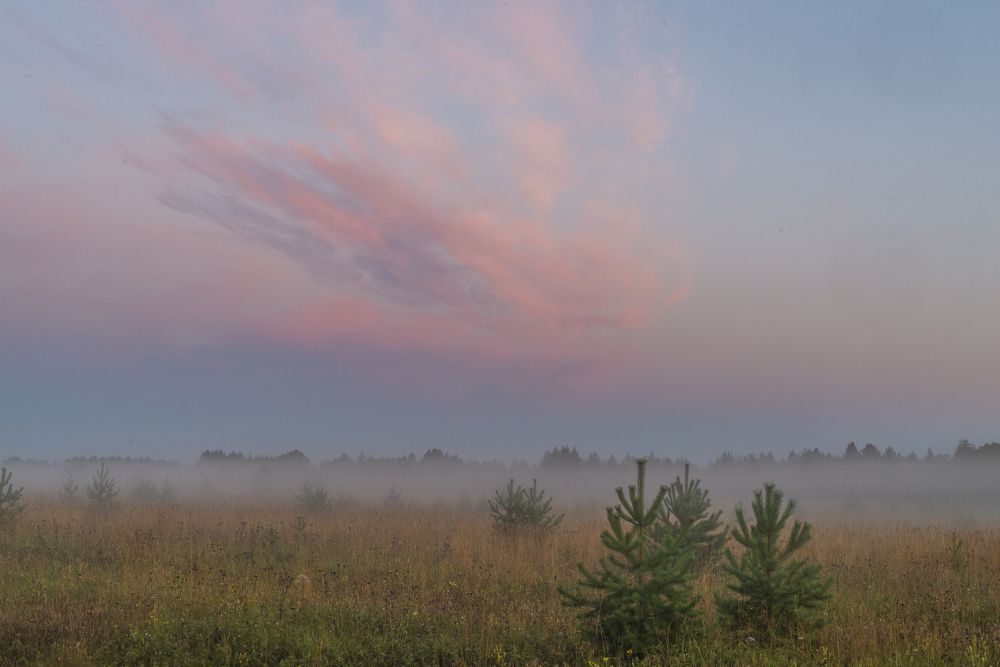 Photograph by Николай Лысцев