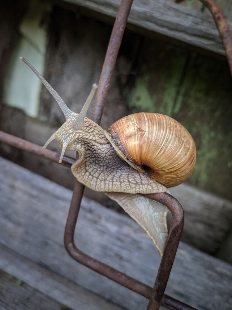 Photograph by Наталья Егорова