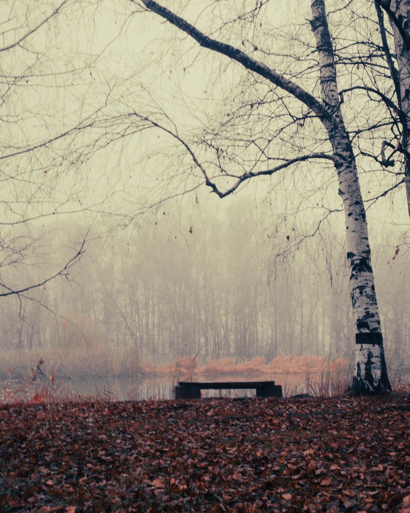 Photograph by Дирель Дарья