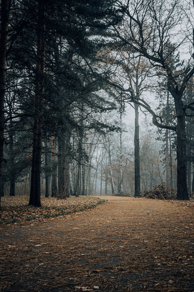 Photograph by Дирель Дарья