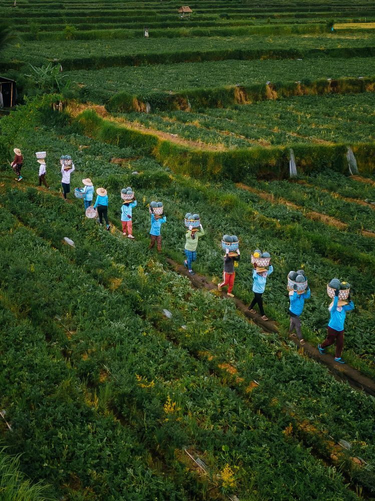 Photograph by Анастасия Сауль