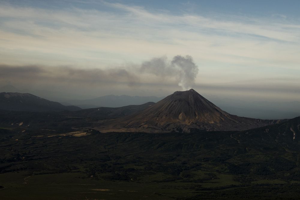 Фотография автора Мария Бородулина