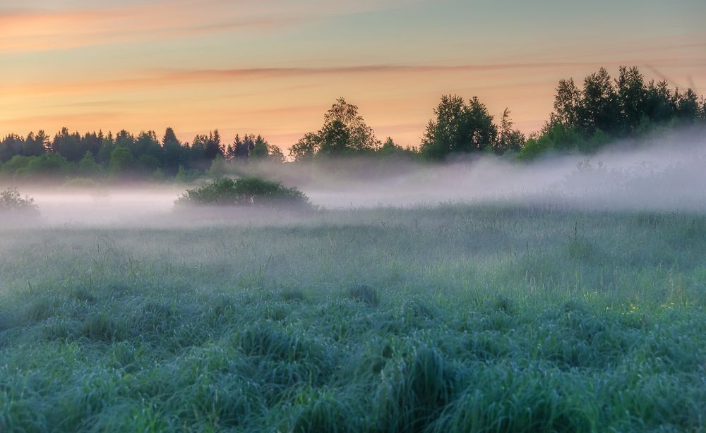 Photograph by Светлана Ващенко