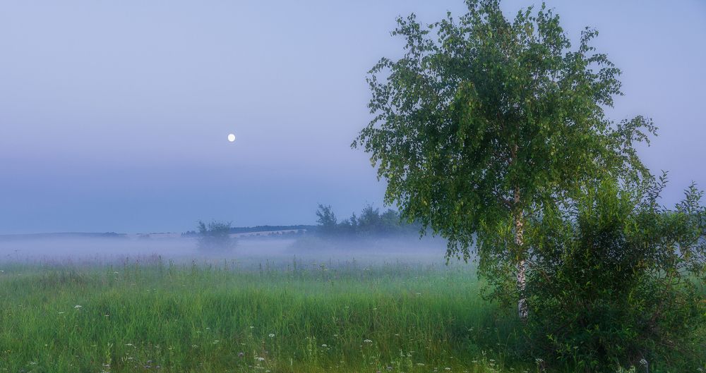 Photograph by Светлана Ващенко