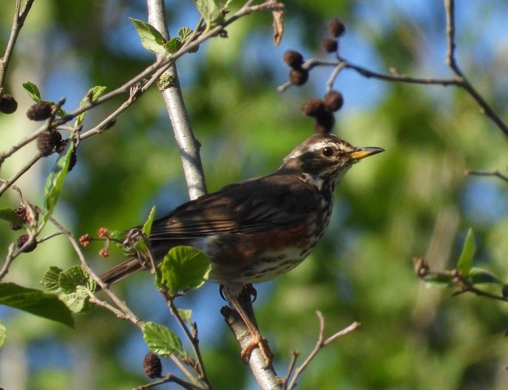 Photograph by Владимир Джерихов