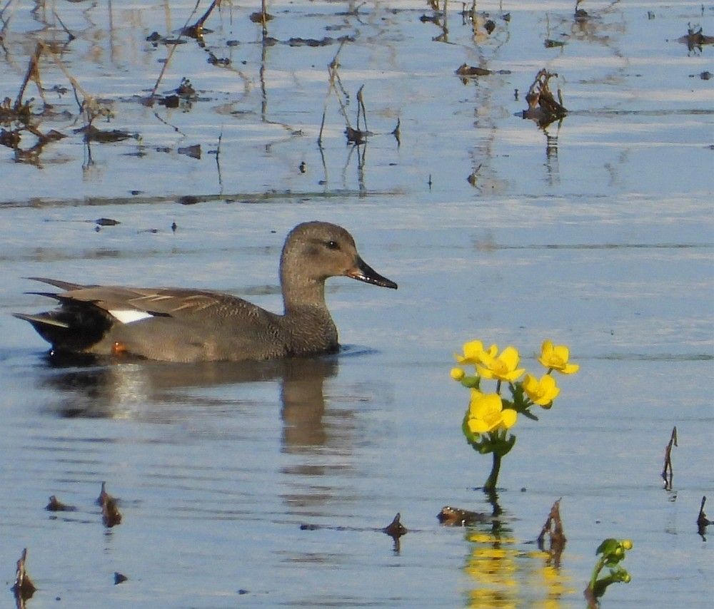 Photograph by Владимир Джерихов