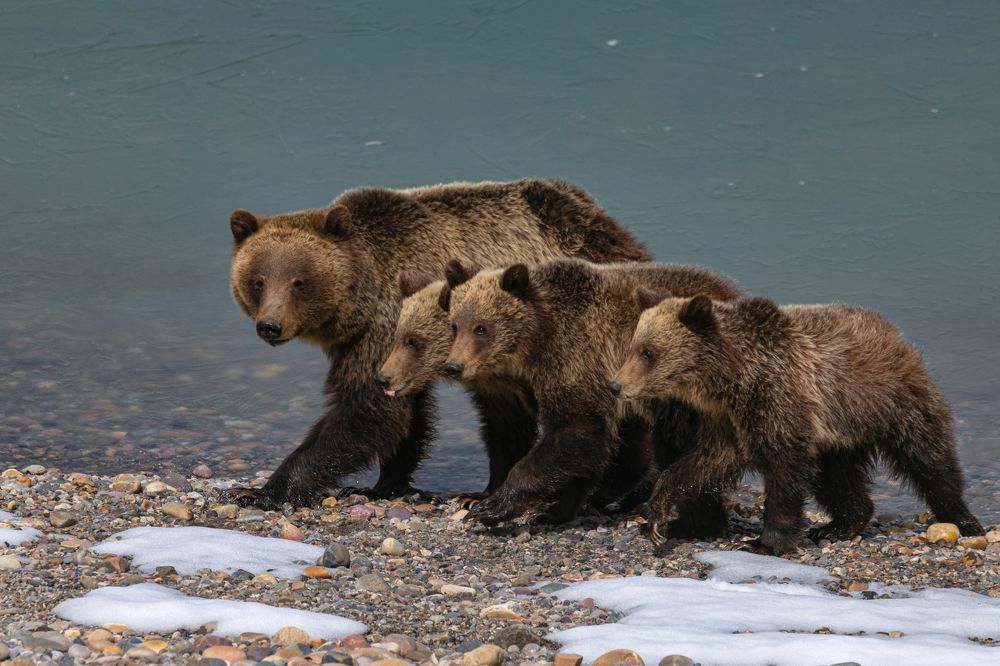 Photograph by Brian Kinghorn