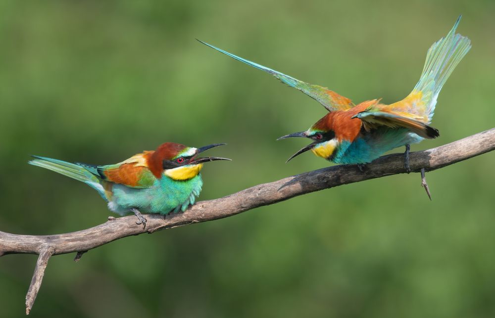 Photograph by Плеханов Александр