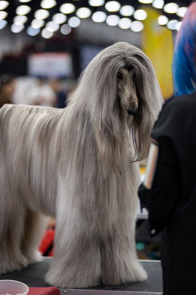 Фотография автора Игорь Ахремчик