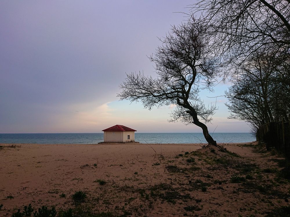 Photograph by Елена Шахова