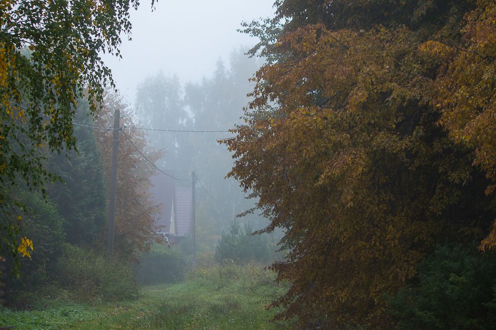 Photograph by Елена Шахова