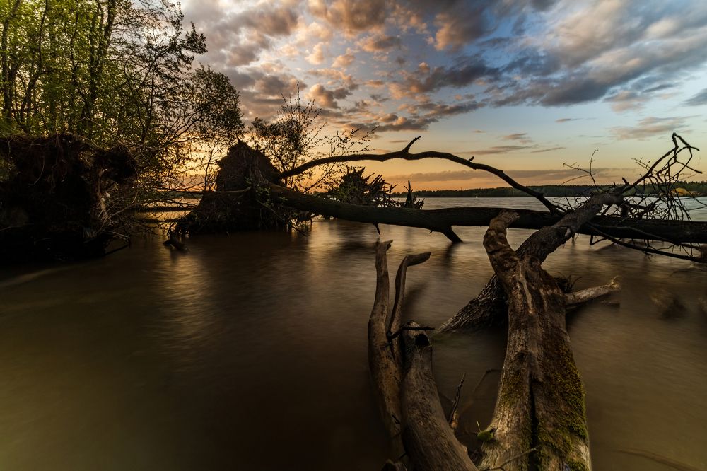 Photograph by Алексей Чеботарев