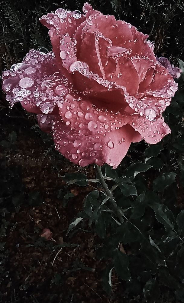 Фотография автора Аида Сидикходжаева