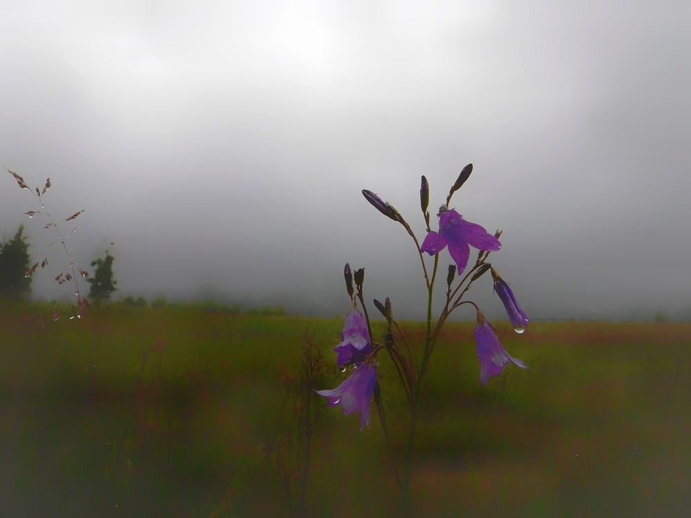 Photograph by Наталия Романова