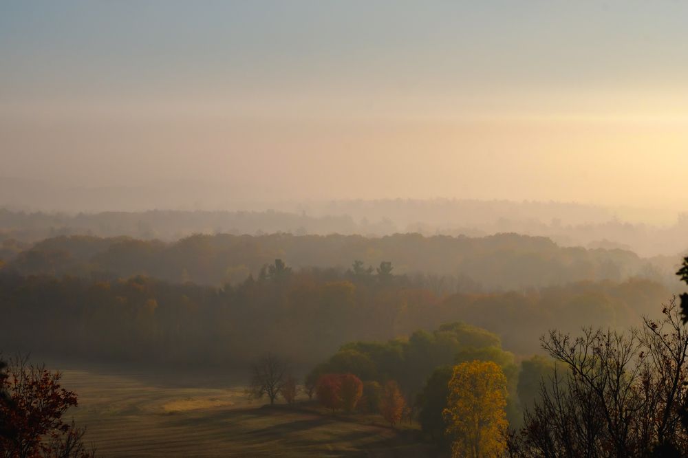Fall Fog