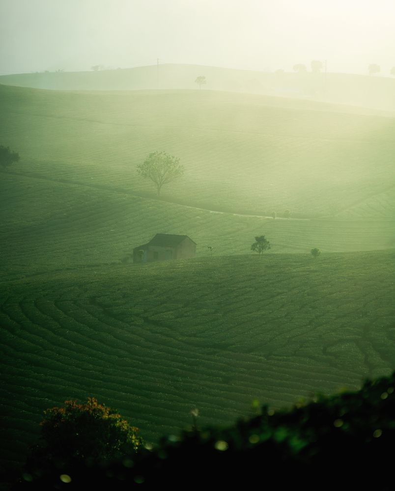 Photograph by Phung Ngoc Lam