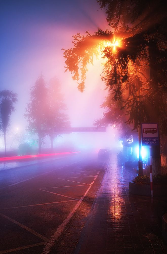 Photograph by Phung Ngoc Lam