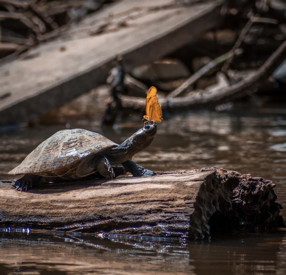 Photograph by Steban Duke