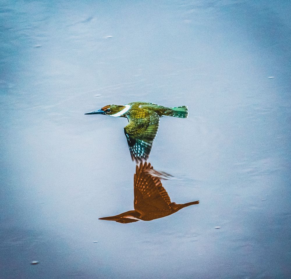 Photograph by Steban Duke