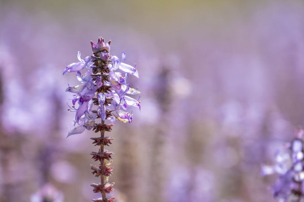 Фотография автора Nikolay Tatarchuk