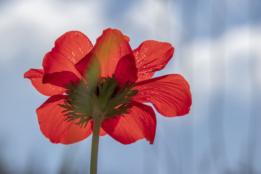 Фотография автора Nikolay Tatarchuk