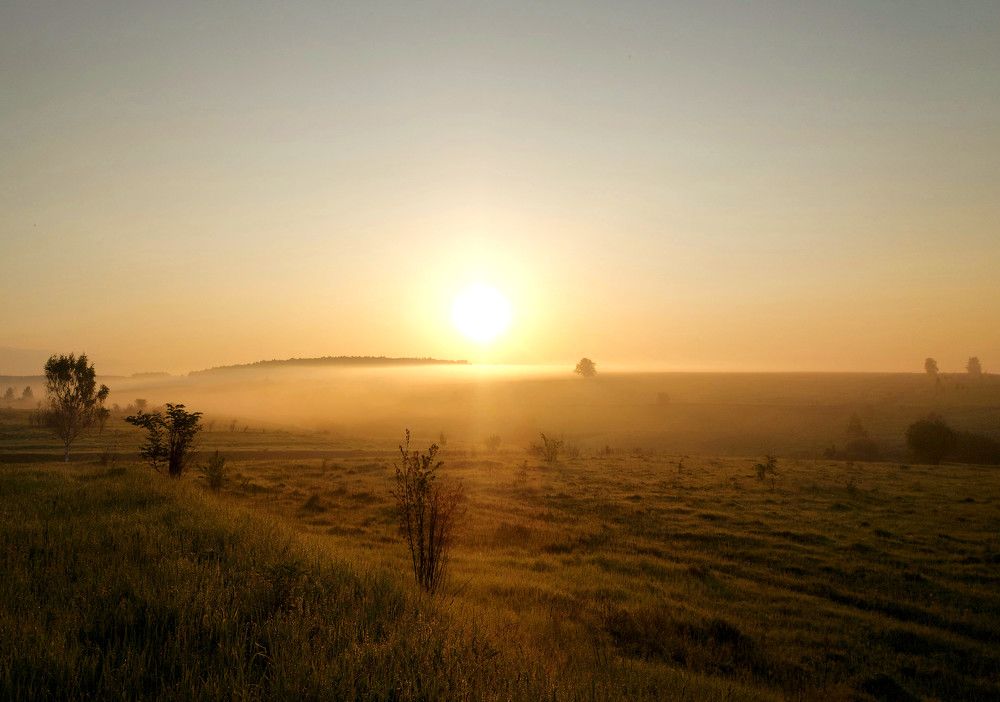 Photograph by Валерий Савостьянов