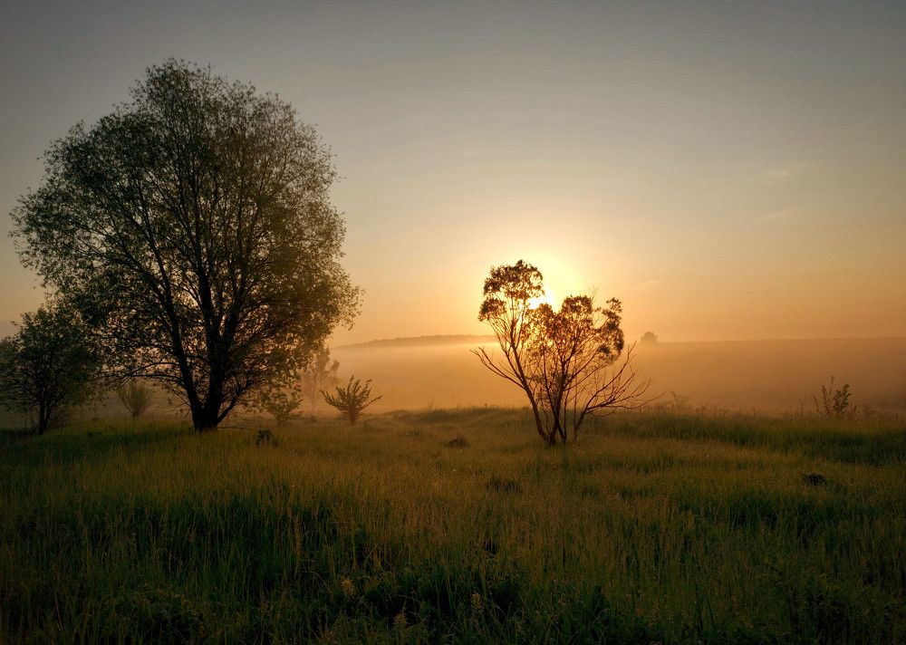 Photograph by Валерий Савостьянов