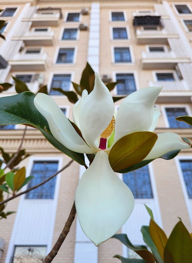 Photograph by Elizabeth Kabatskova