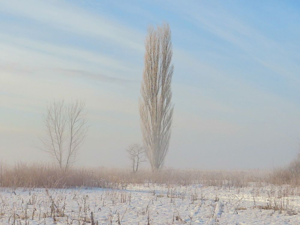 В туманной дымке