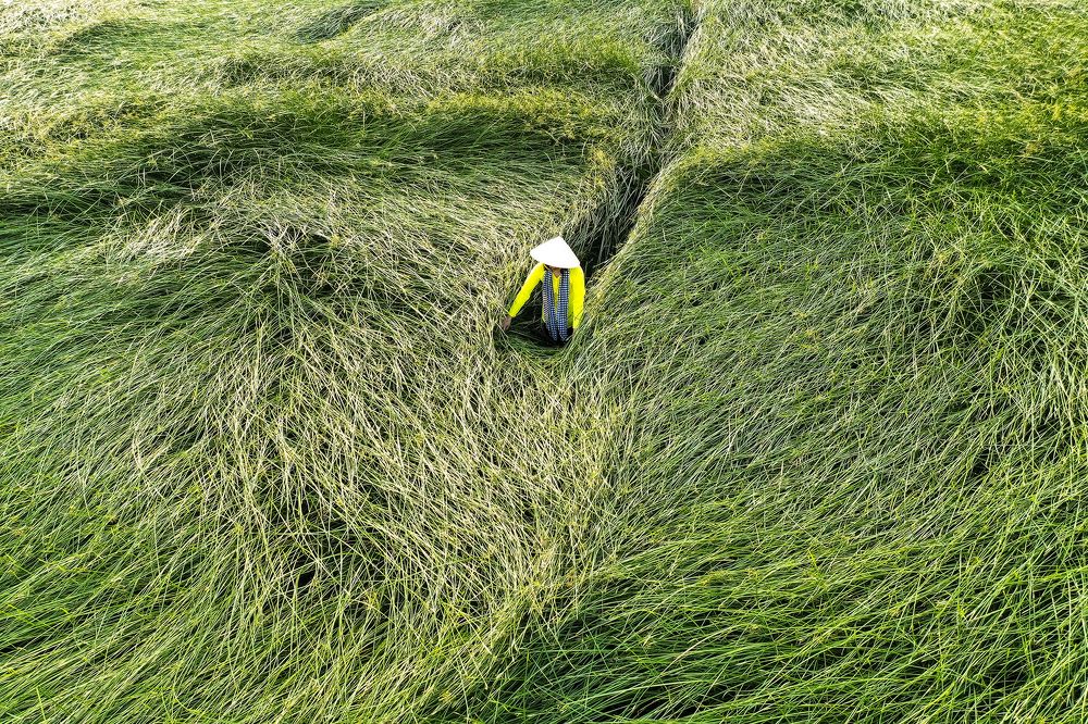 Photograph by CHU HUU LAC