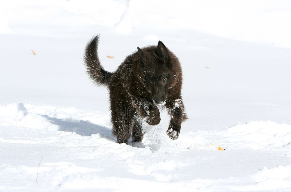 Фотография автора Надежда Лисицына