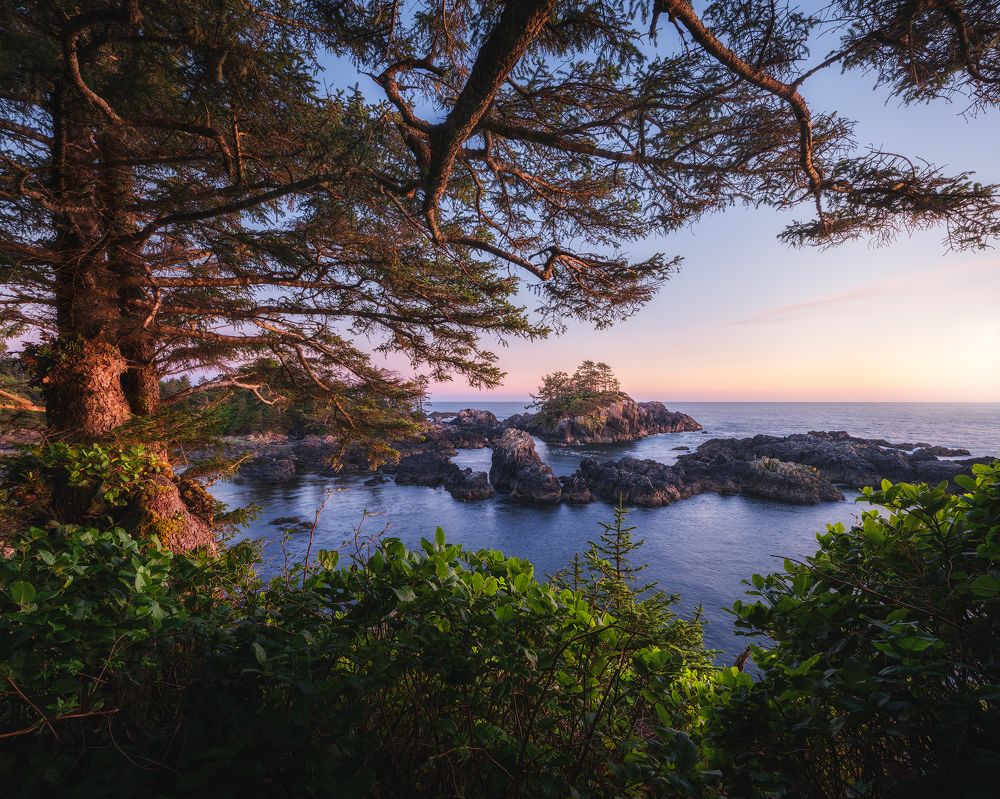 Photograph by Han Jinyi