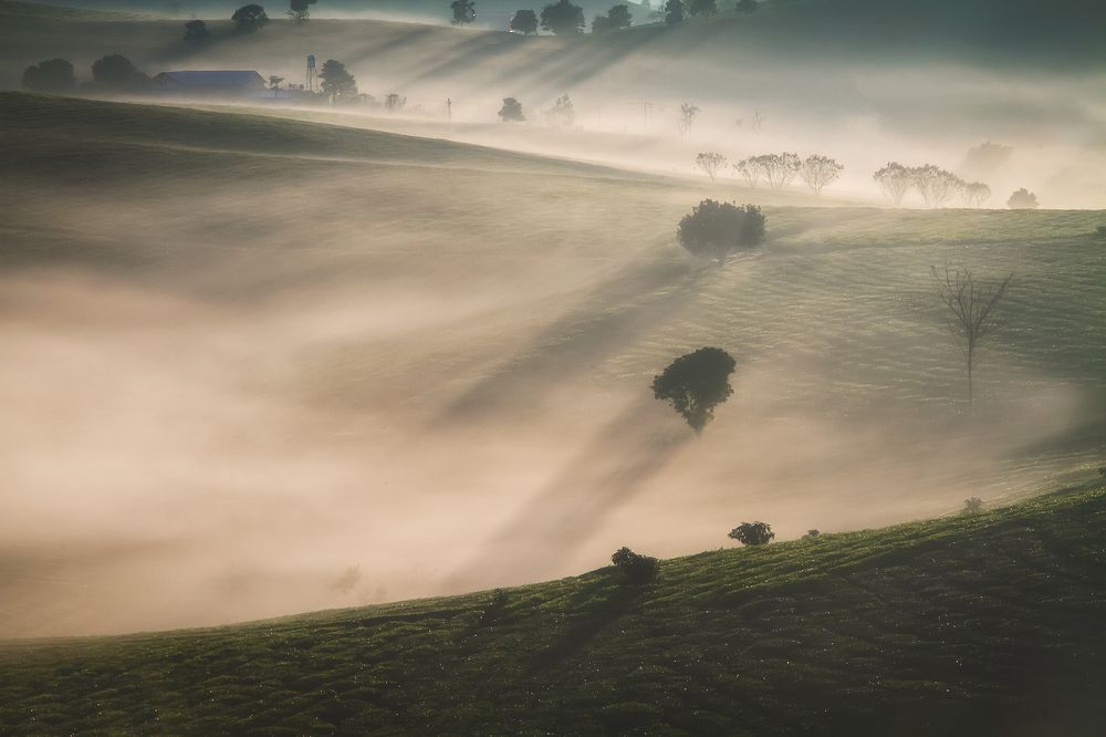 Photograph by Dung Pham