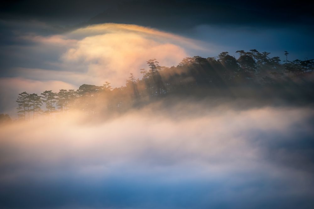 Photograph by Dung Pham