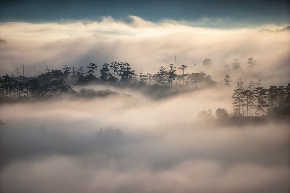 Photograph by Dung Pham