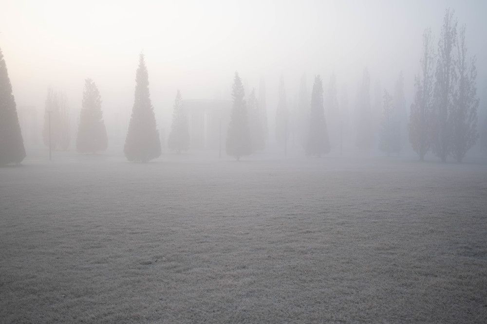 Photograph by Виктория Новикова