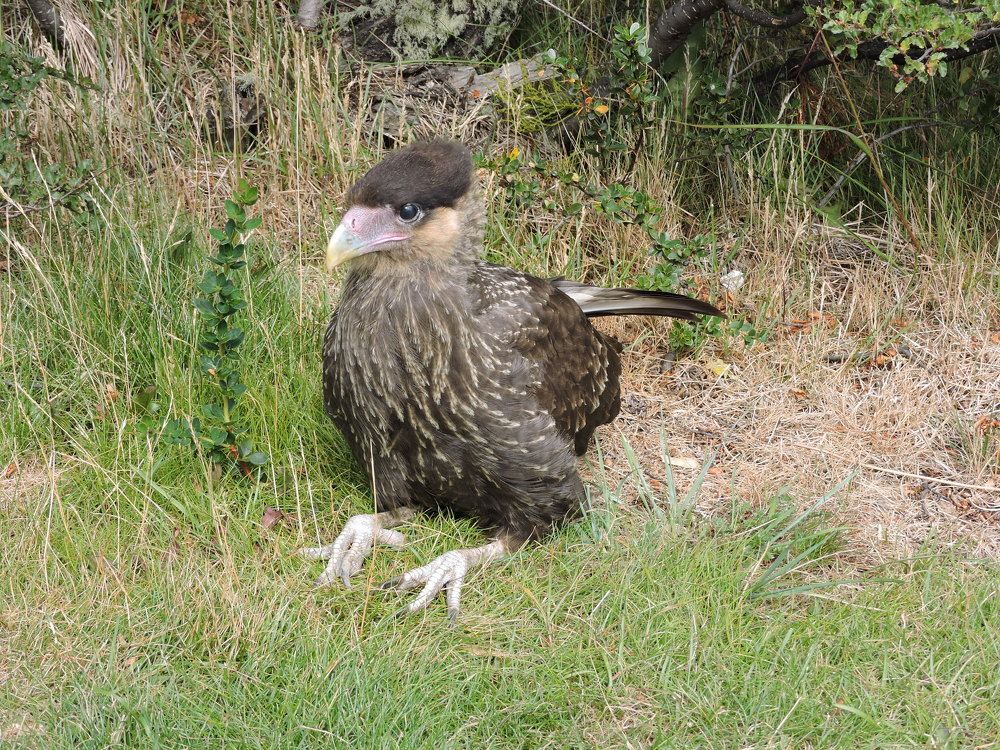 Photograph by Silvia Viviana LIndner