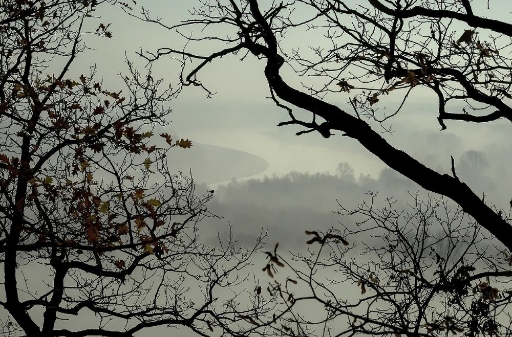 Photograph by Алексей Патлах