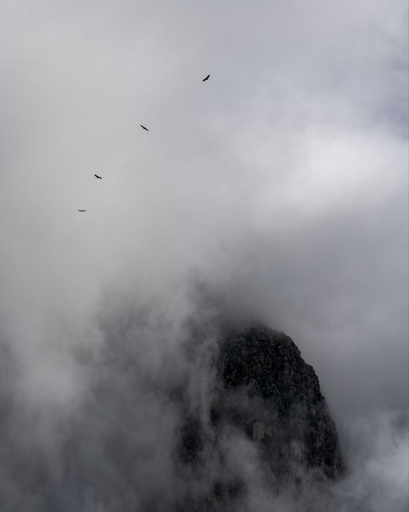 Photograph by Michael Kharitonychev