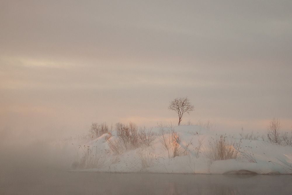 Photograph by Андрей Егоров