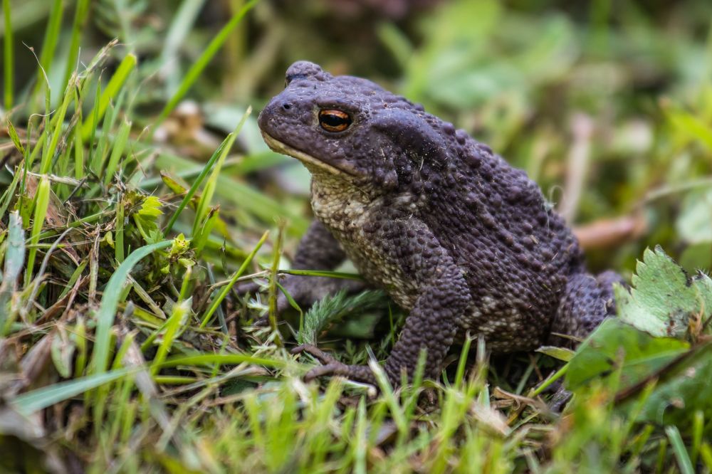 Photograph by Татьяна Гладкова