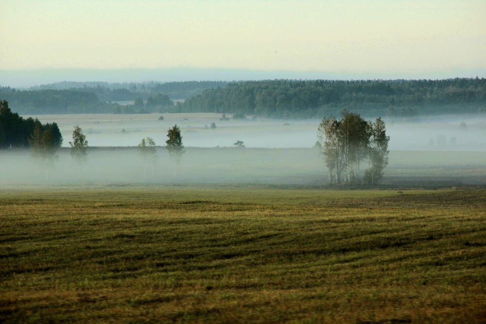 Photograph by Зоя Кулько