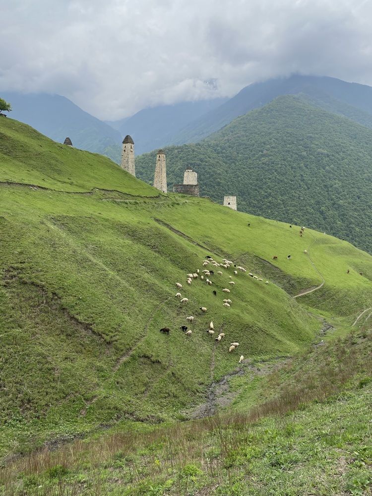 Photograph by Анастасия Козлова