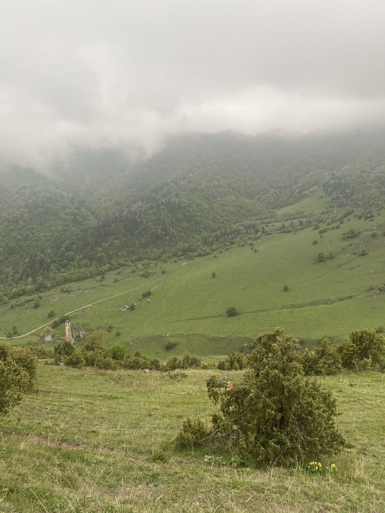 Photograph by Анастасия Козлова