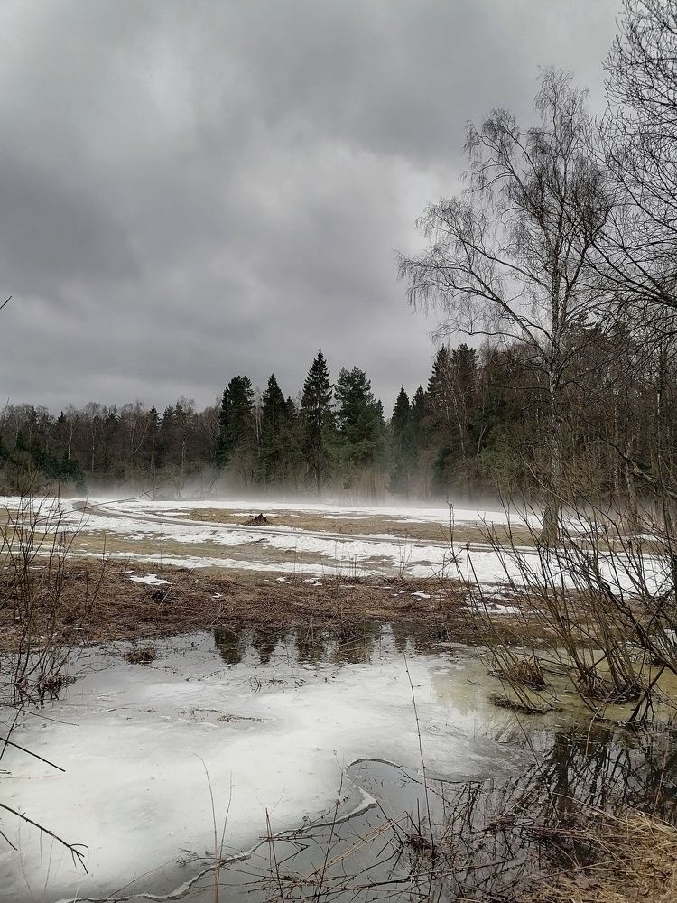 Photograph by Анжелика