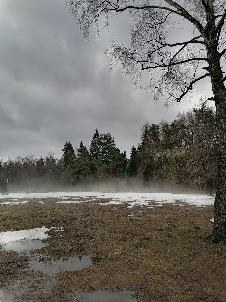 Photograph by Анжелика
