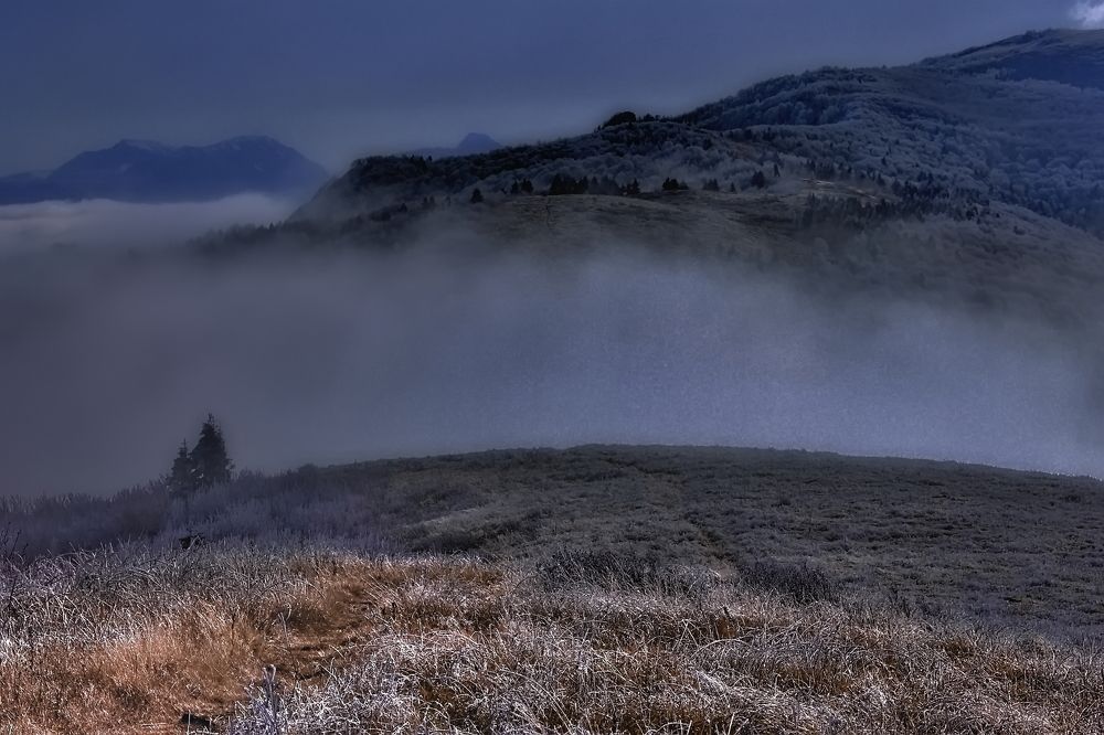 Photograph by Roman Popov