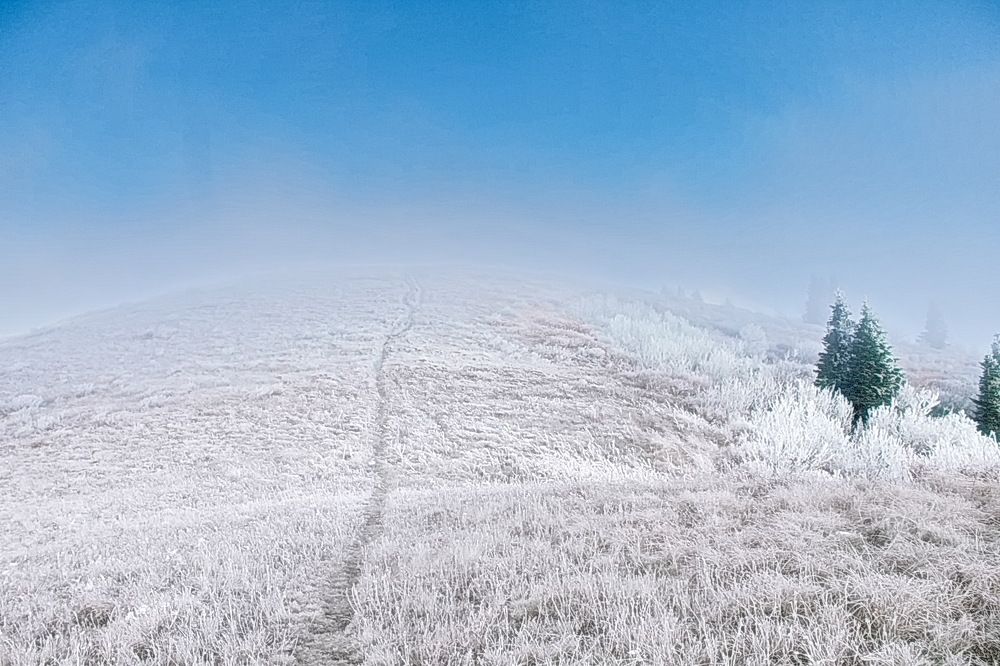 Photograph by Roman Popov